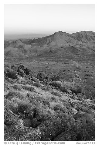 Tramp Ridge at sunrise. Gold Butte National Monument, Nevada, USA