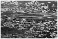 Cedar Basin, early morning. Gold Butte National Monument, Nevada, USA ( black and white)