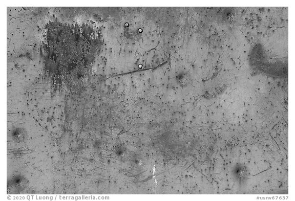 Detail of rusted metal with bullet holes, Gold Butte townsite. Gold Butte National Monument, Nevada, USA (black and white)