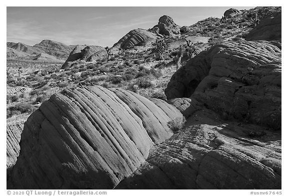 Red sandstone rocks, Whitney Pocket. Gold Butte National Monument, Nevada, USA