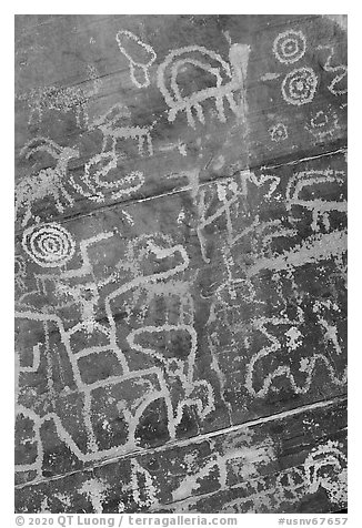 Petroglyph detail. Gold Butte National Monument, Nevada, USA (black and white)