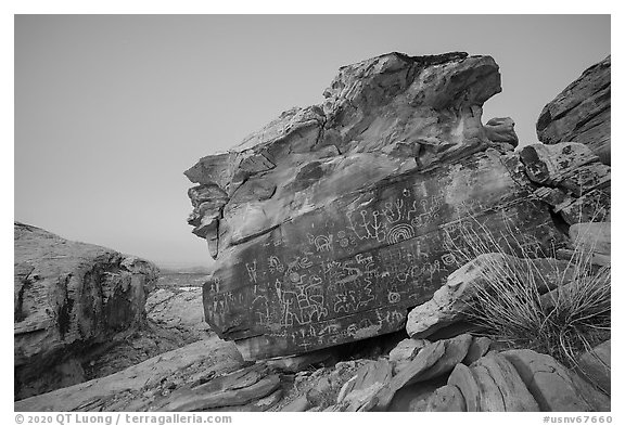 Newspaper Rock with petroglyphs at twilight. Gold Butte National Monument, Nevada, USA (black and white)