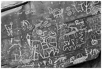 Close up of petroglyphs, Newspaper Rock. Gold Butte National Monument, Nevada, USA ( black and white)