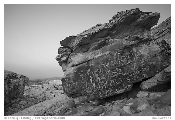 Newspaper Rock with petroglyphs at dawn. Gold Butte National Monument, Nevada, USA (black and white)