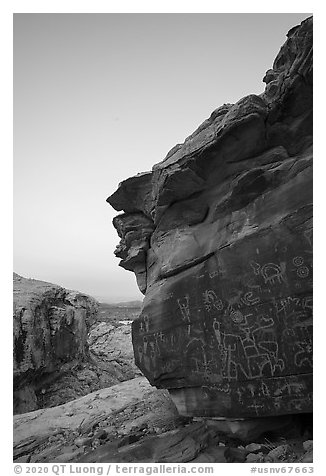 Petroglyphs on Newspaper Rock at dawn. Gold Butte National Monument, Nevada, USA