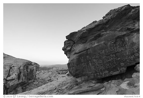 Newspaper Rock with petroglyphs at sunrise. Gold Butte National Monument, Nevada, USA (black and white)