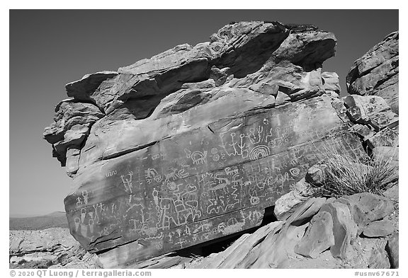 Newspaper Rock with petroglyphs, early morning. Gold Butte National Monument, Nevada, USA