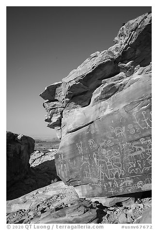 Petroglyphs on Newspaper Rock, early morning. Gold Butte National Monument, Nevada, USA (black and white)