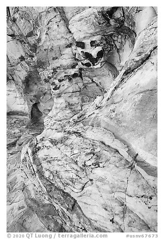 Detail of sandstone wall. Gold Butte National Monument, Nevada, USA