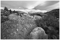 Boulder with densely packed petrogphys in valley, Shooting Gallery. Basin And Range National Monument, Nevada, USA ( black and white)