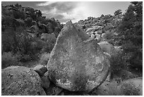 Boulder with petroglyphs, Shooting Gallery. Basin And Range National Monument, Nevada, USA ( black and white)