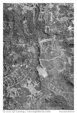 Close-up of petroglyphs, Shooting Gallery. Basin And Range National Monument, Nevada, USA (black and white)