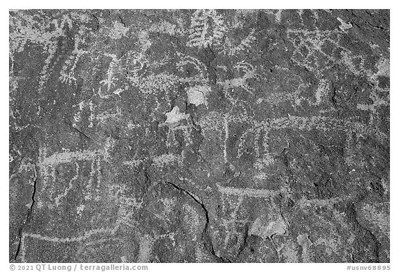 Close-up of densely packed petroglyphs, Shooting Gallery. Basin And Range National Monument, Nevada, USA