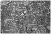 Close-up of densely packed petroglyphs, Shooting Gallery. Basin And Range National Monument, Nevada, USA ( black and white)