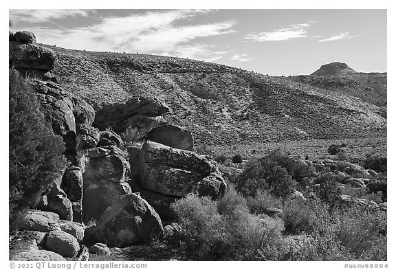 Valley with Seven sheep panel in the distance, Shooting Gallery. Basin And Range National Monument, Nevada, USA