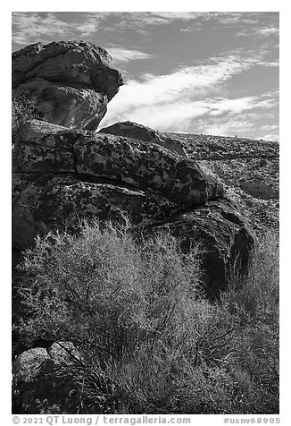 Boulder with Seven sheep panel, Shooting Gallery. Basin And Range National Monument, Nevada, USA