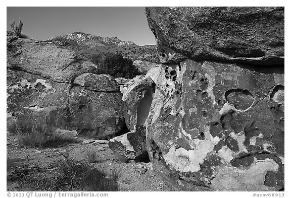 Petroglyphs on Paiute Rocks, Mount Irish Archeological Area. Basin And Range National Monument, Nevada, USA (black and white)