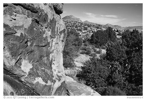 Petroglyphs on Shaman Hill, Mount Irish Archeological Area. Basin And Range National Monument, Nevada, USA