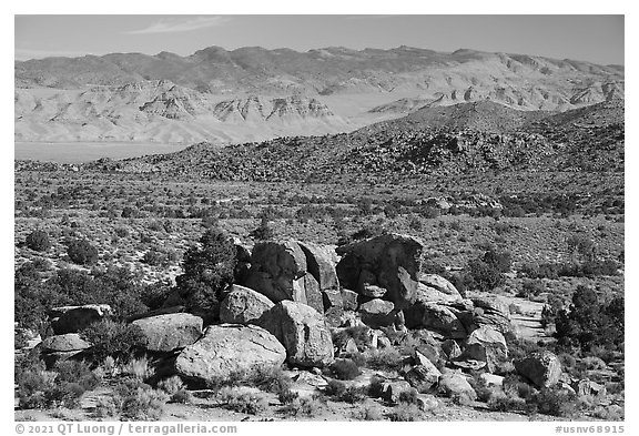 Shaman Knob, Mount Irish Petroglyph Area. Basin And Range National Monument, Nevada, USA