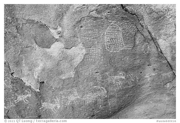 Close-up of petroglyphs on Shaman Hill, Mount Irish Archeological Area. Basin And Range National Monument, Nevada, USA