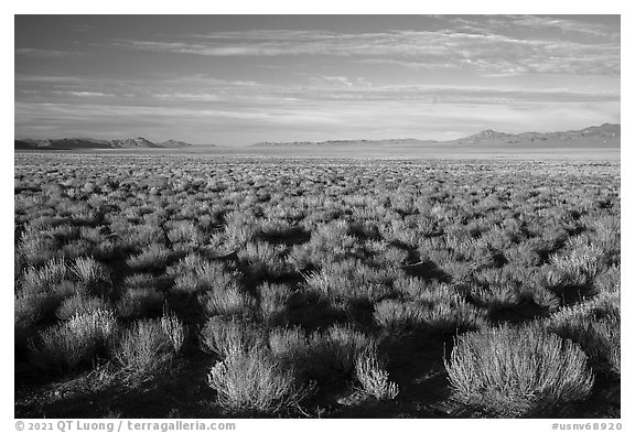 Coal Valley, late afternoon. Basin And Range National Monument, Nevada, USA (black and white)