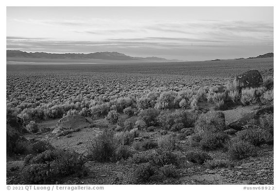 Garden Valley, sunset. Basin And Range National Monument, Nevada, USA