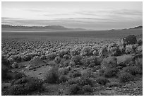 Garden Valley, sunset. Basin And Range National Monument, Nevada, USA ( black and white)
