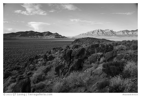 Blooms, ash boulders, and Worthington Mountains. Basin And Range National Monument, Nevada, USA