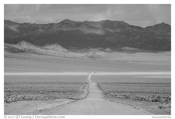 Road through Garden Valley. Basin And Range National Monument, Nevada, USA
