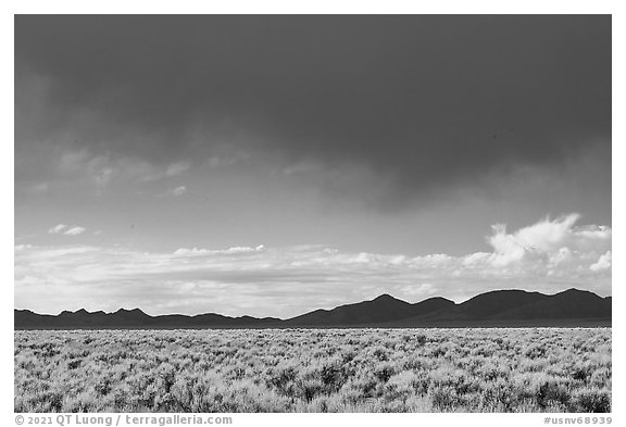 Garden Valley and Quinn Canyon Range. Basin And Range National Monument, Nevada, USA