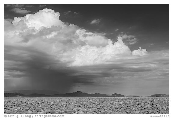 Storm cloud over Golden Gate Range. Basin And Range National Monument, Nevada, USA
