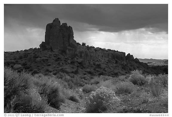 Blooms and rock pinnacle under stormy sky, Seaman Range. Basin And Range National Monument, Nevada, USA