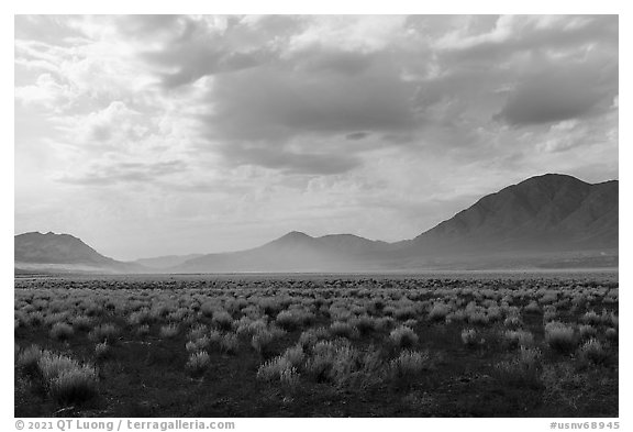 Clearing storm, Seaman Range. Basin And Range National Monument, Nevada, USA