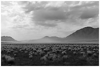 Clearing storm, Seaman Range. Basin And Range National Monument, Nevada, USA ( black and white)