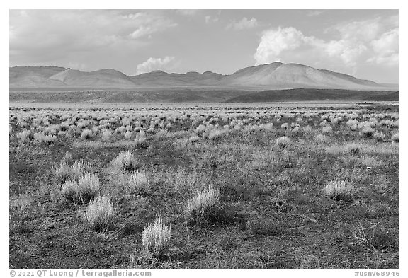 Sparse sagebrush and mountains, Seaman Range. Basin And Range National Monument, Nevada, USA