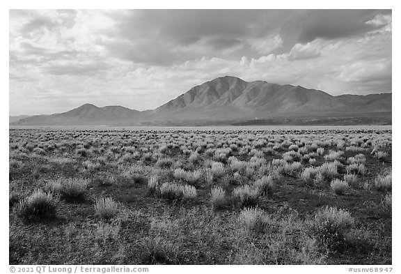 Sagebrush and Seaman Range mountains. Basin And Range National Monument, Nevada, USA
