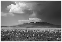 Clearing stom clouds over Seaman Range. Basin And Range National Monument, Nevada, USA ( black and white)
