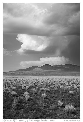 Clearing stom clouds over mountains, Seaman Range. Basin And Range National Monument, Nevada, USA (black and white)