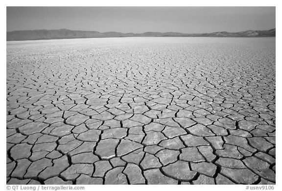 Playa with mud cracks, dawn, Black Rock Desert. Nevada, USA (black and white)