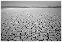 Playa with mud cracks, dawn, Black Rock Desert. Nevada, USA (black and white)