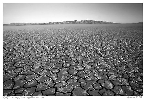 Ancient lakebed with cracked dried mud, sunrise, Black Rock Desert. Nevada, USA