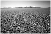 Ancient lakebed with cracked dried mud, sunrise, Black Rock Desert. Nevada, USA ( black and white)