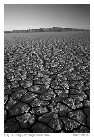 Dry Lakebed  with cracked dried mud, sunrise, Black Rock Desert. Nevada, USA (black and white)