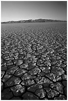 Dry Lakebed  with cracked dried mud, sunrise, Black Rock Desert. Nevada, USA ( black and white)