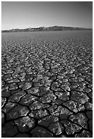 Dry Lakebed  with cracked dried mud, sunrise, Black Rock Desert. Nevada, USA (black and white)
