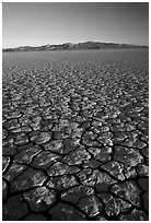 Dry Lakebed  with cracked dried mud, sunrise, Black Rock Desert. Nevada, USA (black and white)