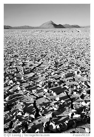 Playa with peeling dried mud, early morning, Black Rock Desert. Nevada, USA (black and white)
