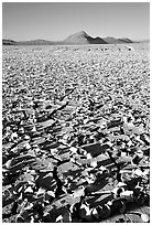 Playa with peeling dried mud, early morning, Black Rock Desert. Nevada, USA (black and white)