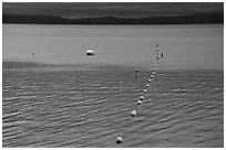 Buoy line, South Lake Tahoe, California. USA (black and white)