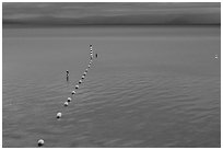 Buoy line and blue lake at dusk, South Lake Tahoe, California. USA ( black and white)